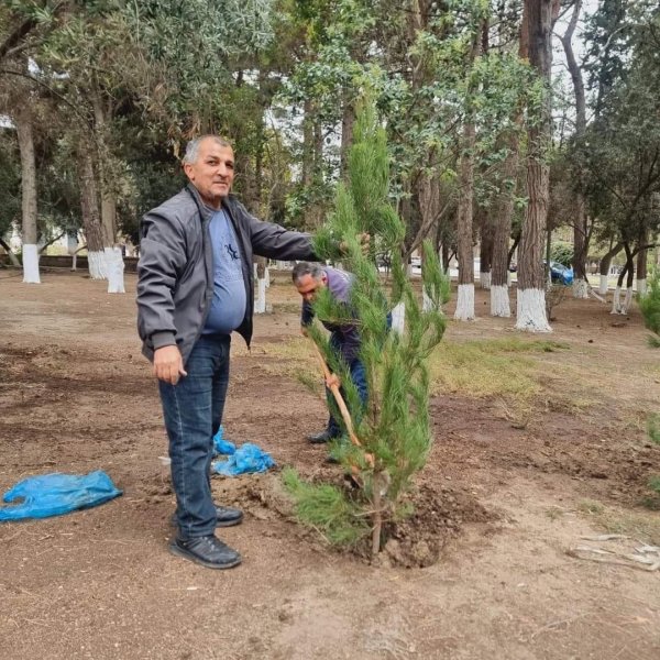 Sumqayıtın bu parkında yaşıllıq işləri aparıldı - FOTO