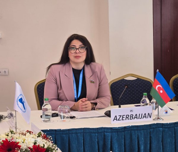 Azərbaycanlı deputatlar QDİƏT PM-in komitə iclasında iştirak ediblər