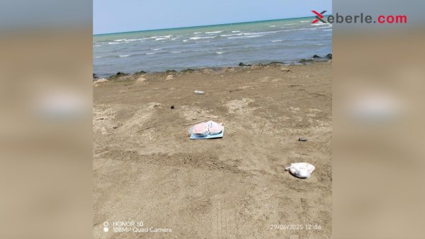 Sumqayıt sahilində natəmizlik: Çimərlik mövsümündə təhlükəli mənzərə - FOTO VİDEO