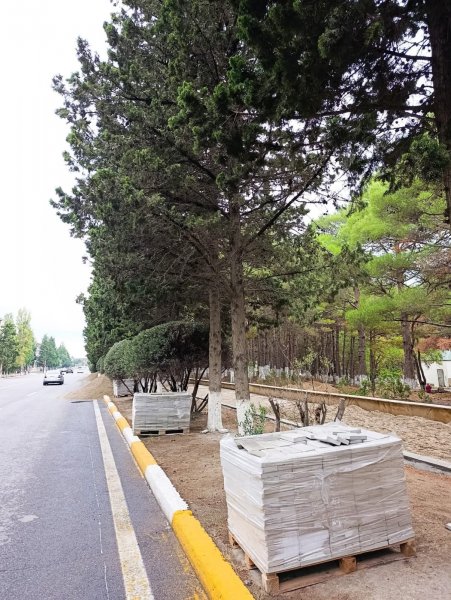 Sumqayıtda səkilərdə yenidənqurma işləri aparılır