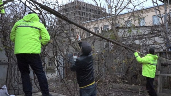FHN xüsusi təhsil məktəbində maarifləndirmə tədbiri keçirib (video, foto) FHN xüsusi təhsil məktəbində maarifləndirmə tədbiri keçirib (video, foto)
