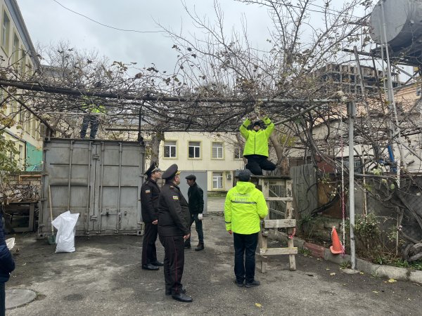 FHN xüsusi təhsil məktəbində maarifləndirmə tədbiri keçirib (video, foto) FHN xüsusi təhsil məktəbində maarifləndirmə tədbiri keçirib (video, foto)