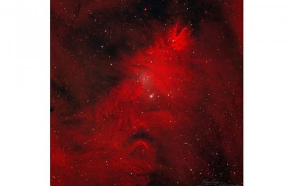 Kosmik "Milad ağacı" görüntüləndi