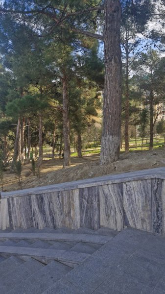 Sumqayıtın bu ərazisində ağaclar kəsildi: 300 yeni ting haradadır? 